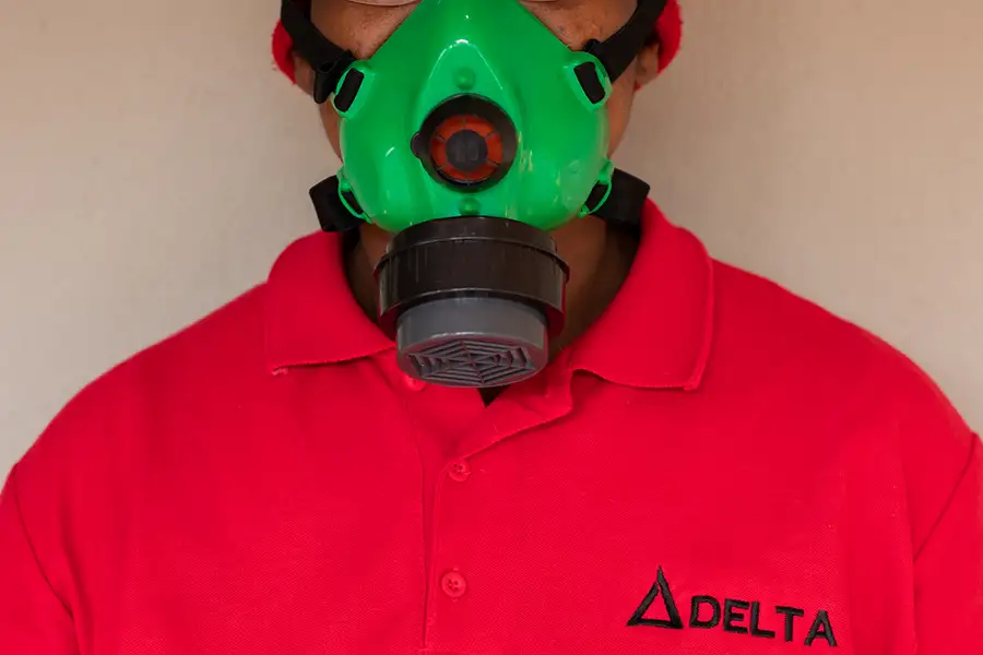 DELTA PEST CONTROL -QUICK LOCAL RESPONSE MENLO PARK PRETORIA